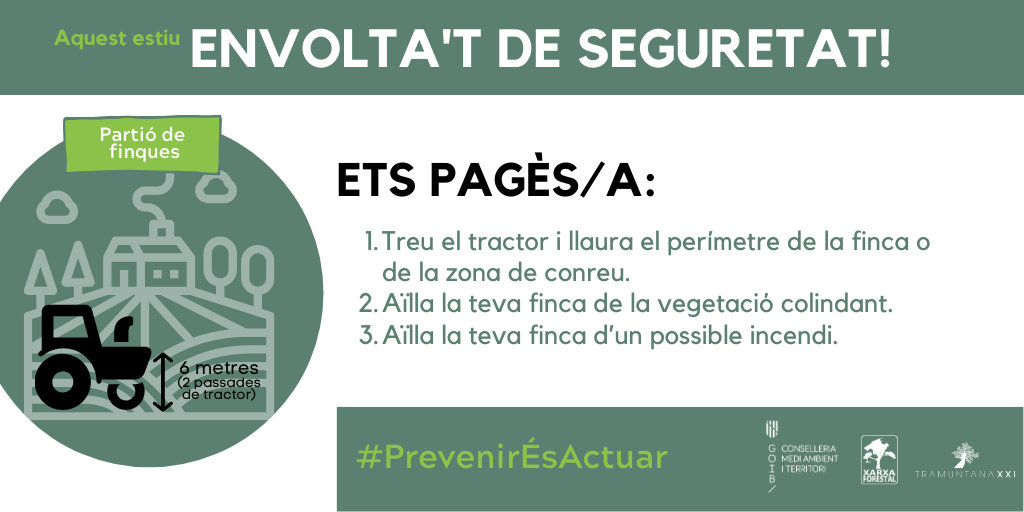Aquest estiu, envolta't de seguretat