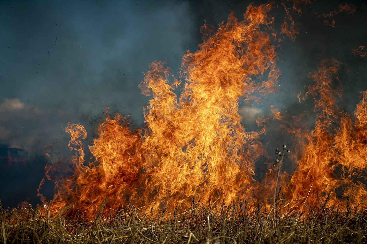 incendis