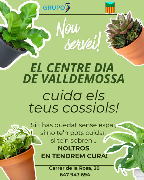 valldemossa