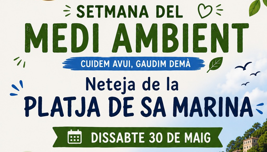 Neteja de la Platja de Sa Marina
