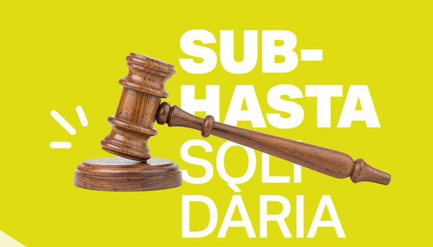 Subhasta solidària 40è aniversari Deixalles 