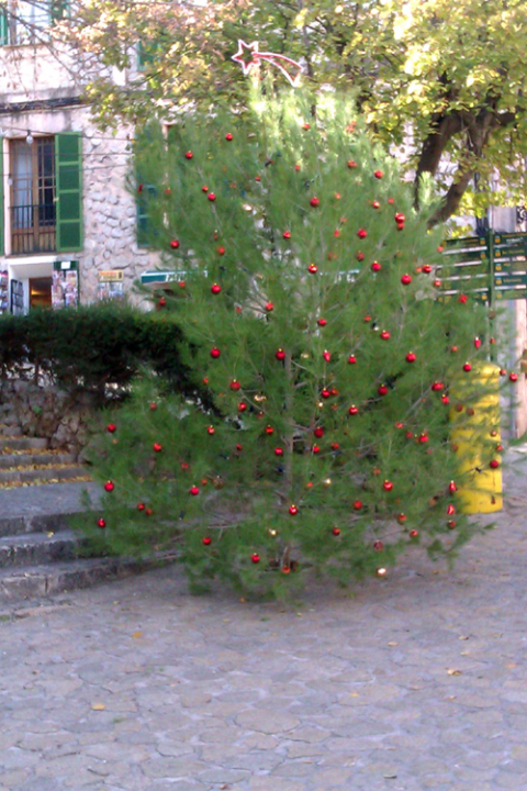 Col.locació arbre de Nadal 