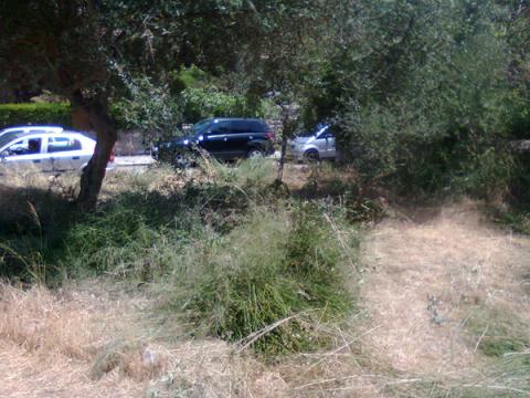 Neteja i Acondicionament Cor de Jesús 