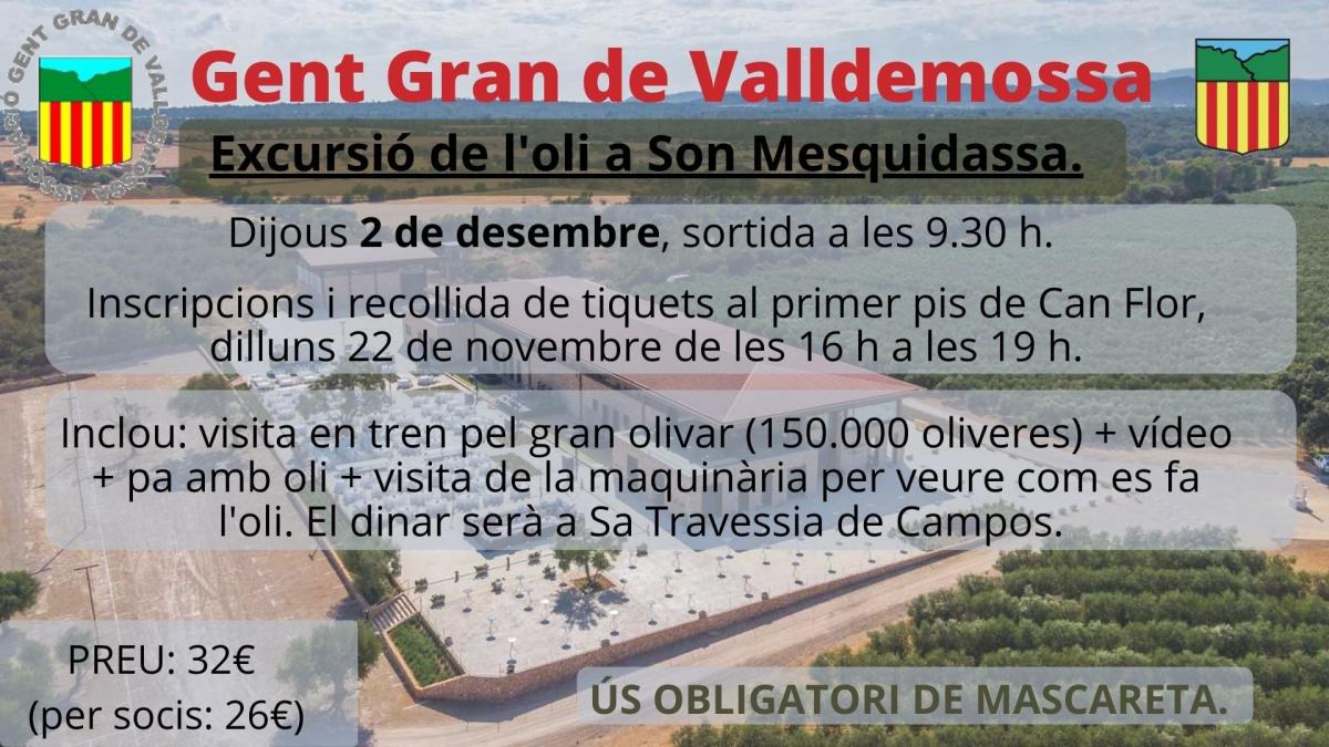 Excursió de l'oli a Son Mesquidassa