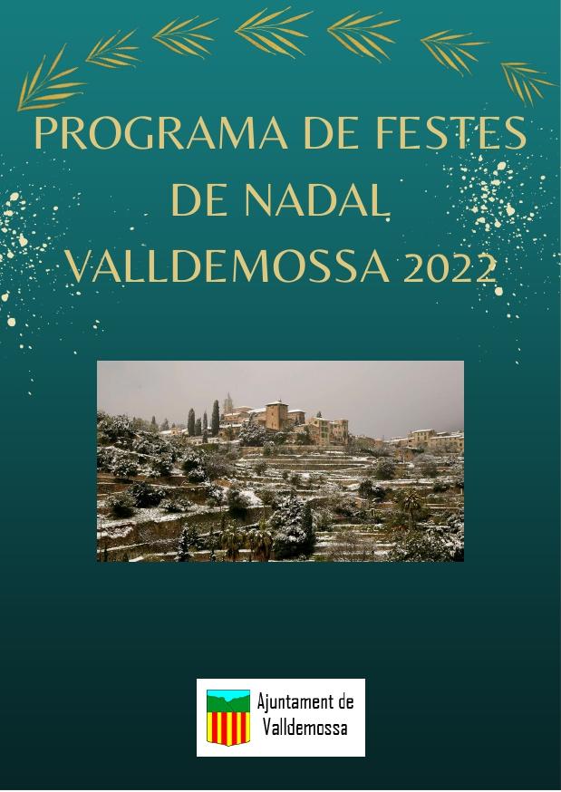 Engalanada de l'arbre de Nadal