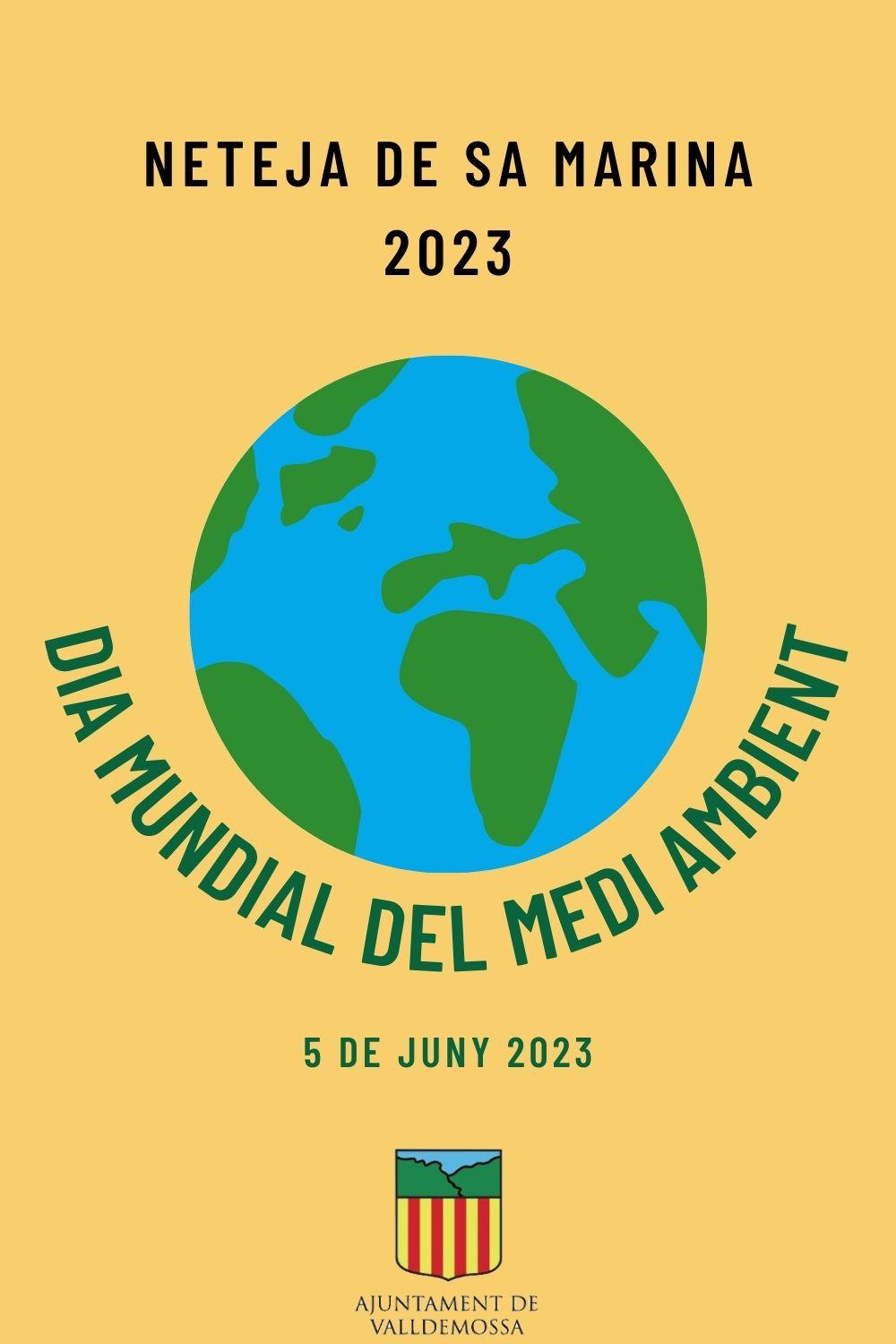 Neteja de la platja del Port de Valldemossa