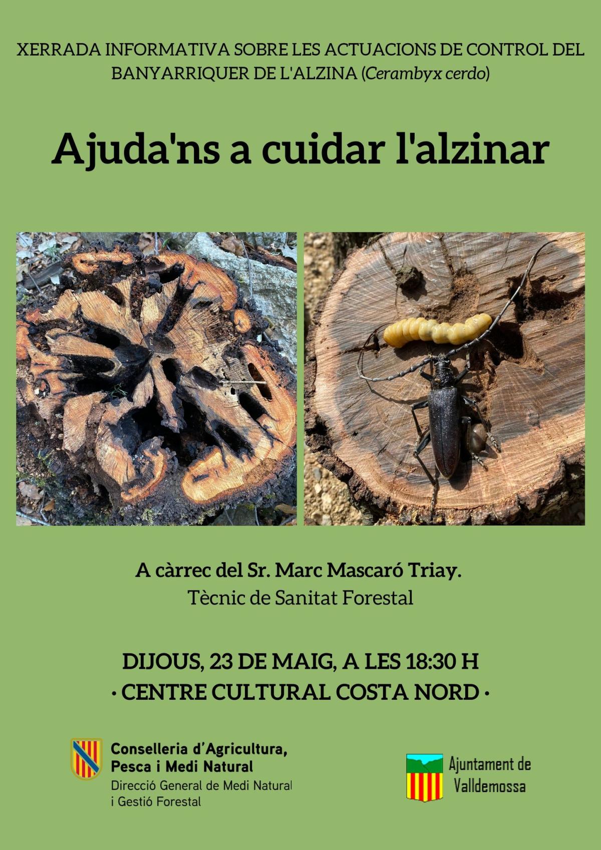 Xerrada informativa sobre actuacions de control del banyarriquer de l'alzina (Cerambyx Cerdo)