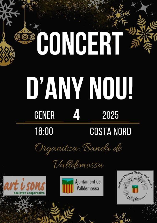 Concert d'Any Nou