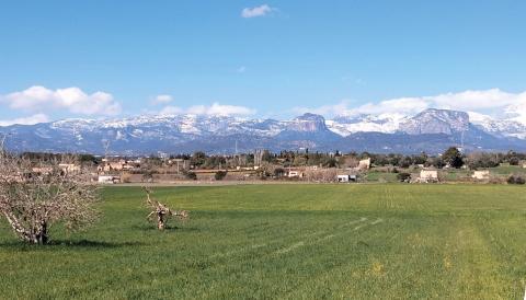 Cicle de Conferències UOM «Perquè no t’enganin amb les coses de menjar»