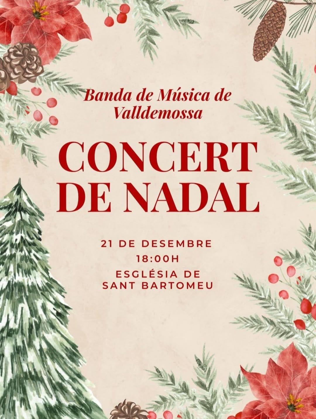Concert de Nadal