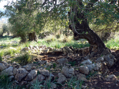 Visita als jaciments prehistòrics de Son Olesa