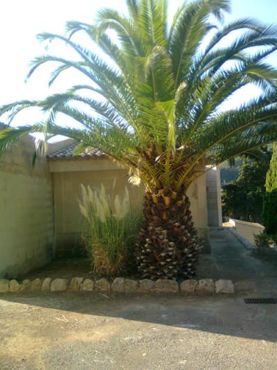 Condicionament Cementeri Setembre 2011