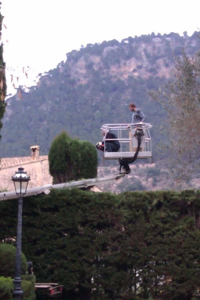 Poda i condicionament Jardins Rei Joan Carles I - Gener 2012
