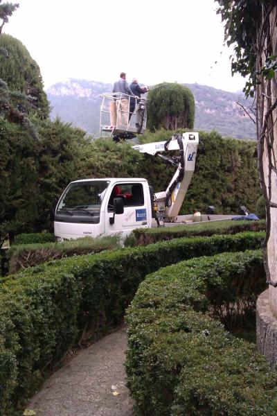 Poda i condicionament Jardins Rei Joan Carles I - Gener 2012