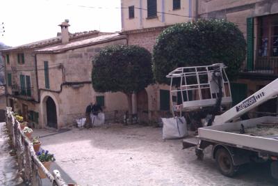Poda Carrer Constitució - Febrer 2012 