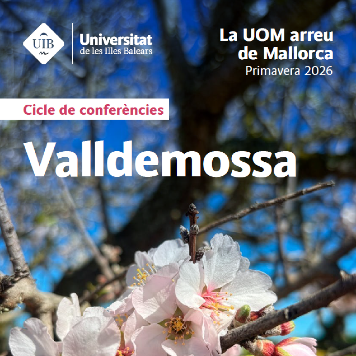 valldemossa