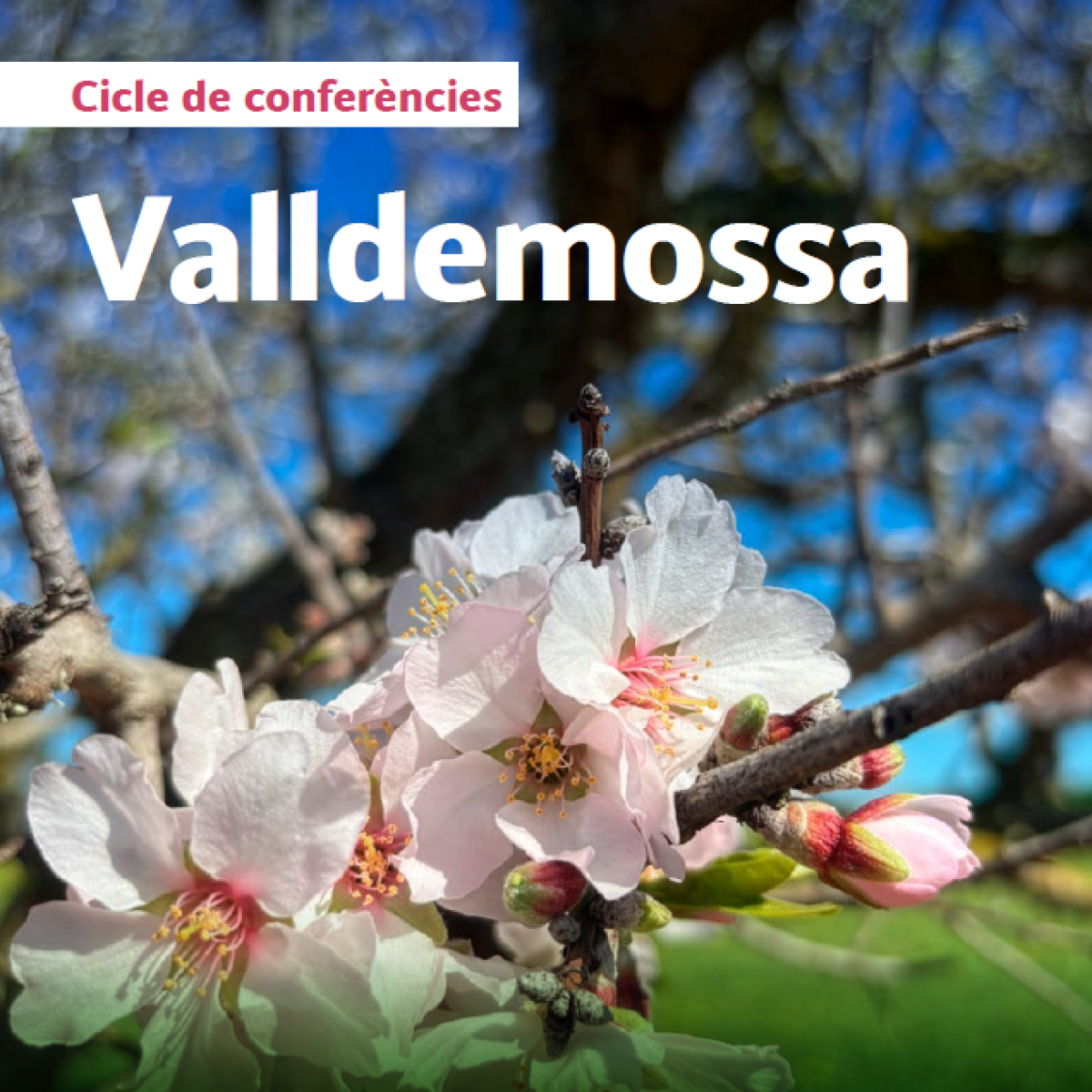valldemossa