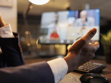 Visualitza els Plens