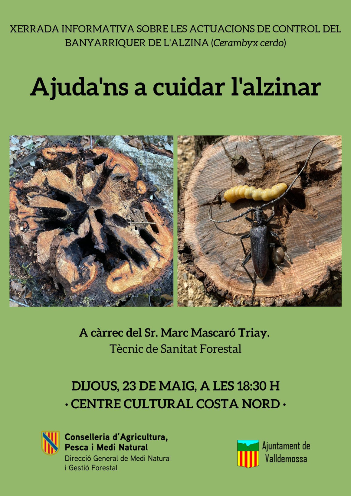 Xerrada informativa sobre actuacions de control del banyarriquer de l'alzina (Cerambyx Cerdo)