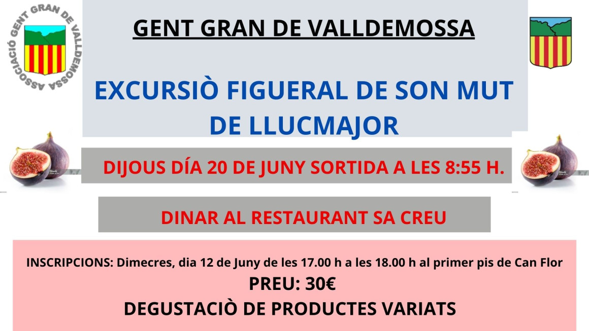 Excursió Gent Gran de Valldemossa