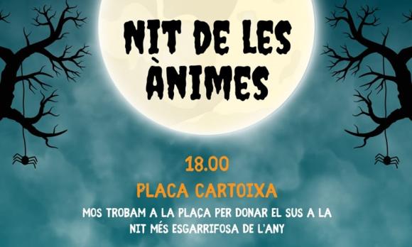 Nit_Animes_Valldemossa_2025