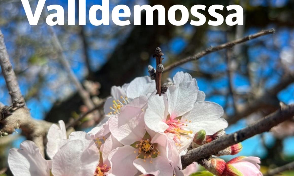 Conferències UOM a Valldemossa