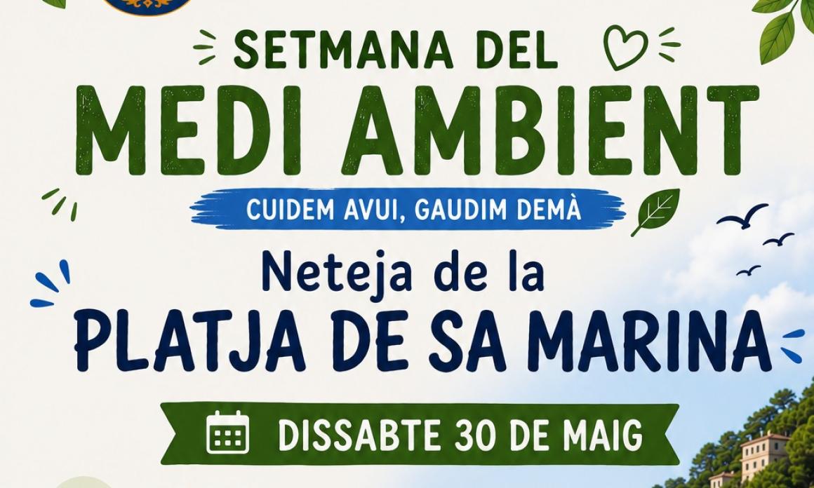 Neteja de la Platja de Sa Marina